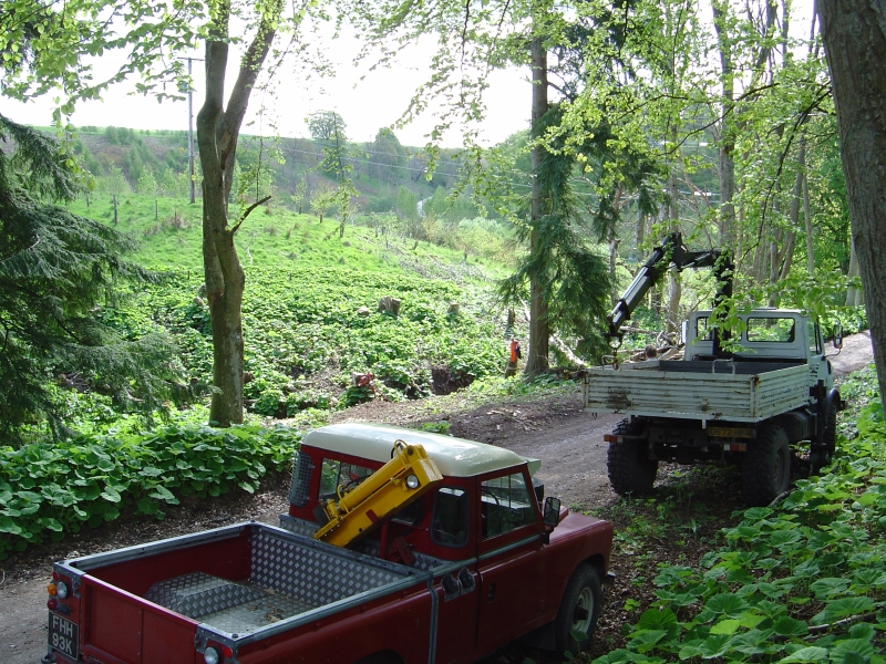 17th May 2008 002